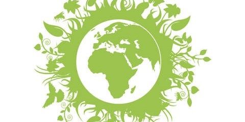 Biodiversita-una-soluzione-per-il-clima_articleimage