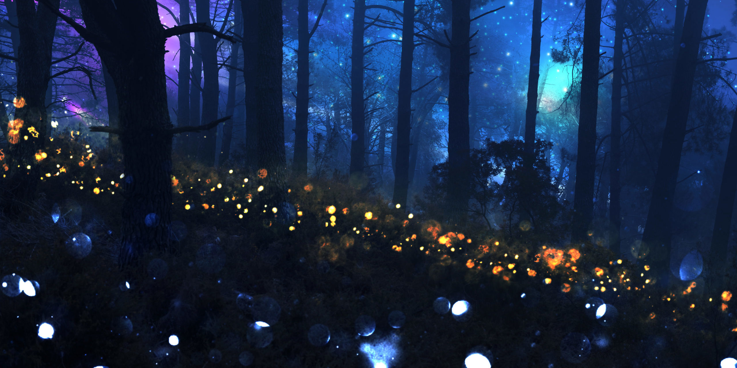 magico-paesaggio-notturno-con-luci-scintillanti