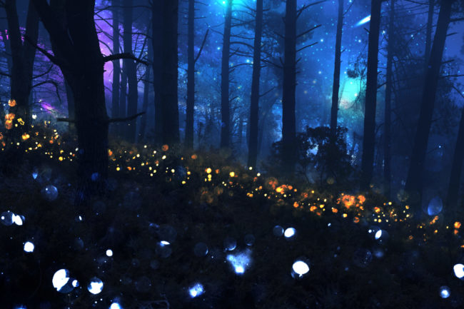 magico-paesaggio-notturno-con-luci-scintillanti